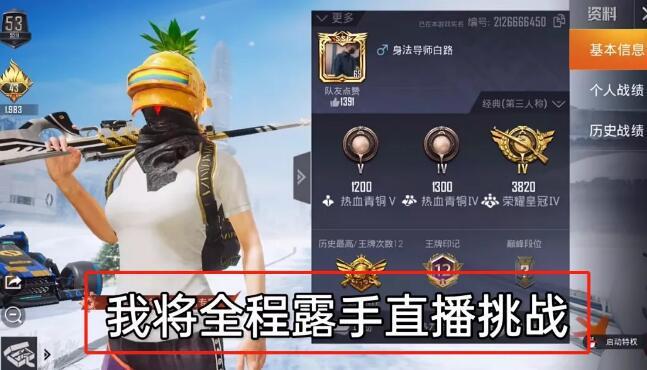 和平精英辅助【巡查员直装V1.0】人物透视 雷达预警 全车美化 枪械美化 人物加速